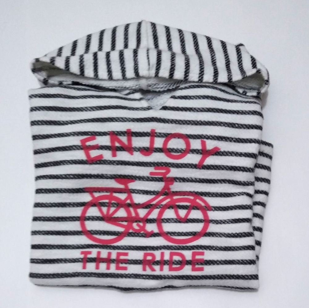 Gap Enjoy the Ride Along Sleeve hooded sweater